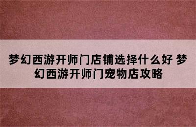 梦幻西游开师门店铺选择什么好 梦幻西游开师门宠物店攻略